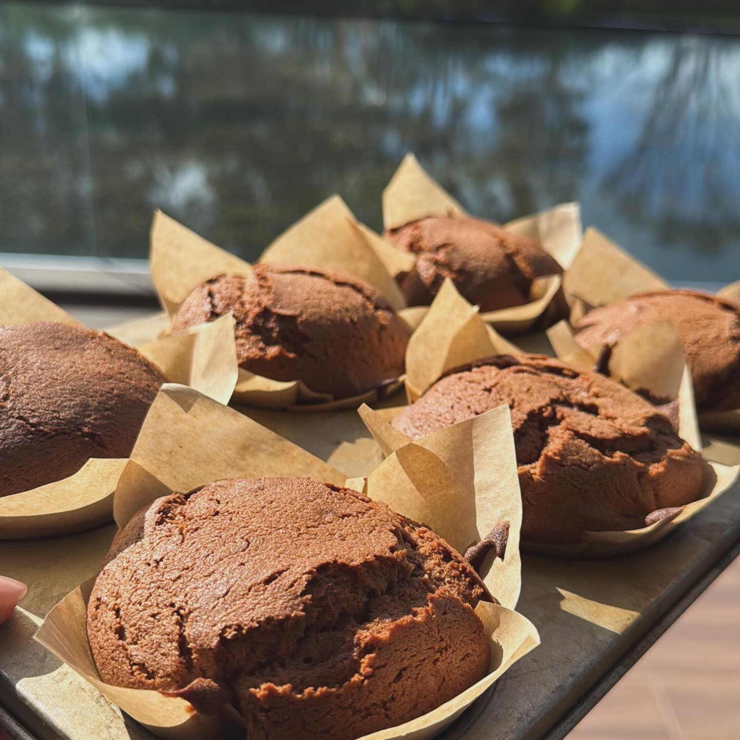 Chocolate muffins